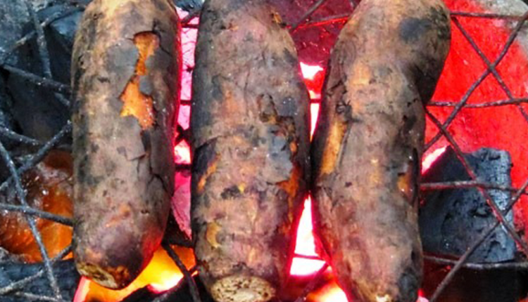 khoai-lang-nuong-bung-am-cho-ngay-dong-gia